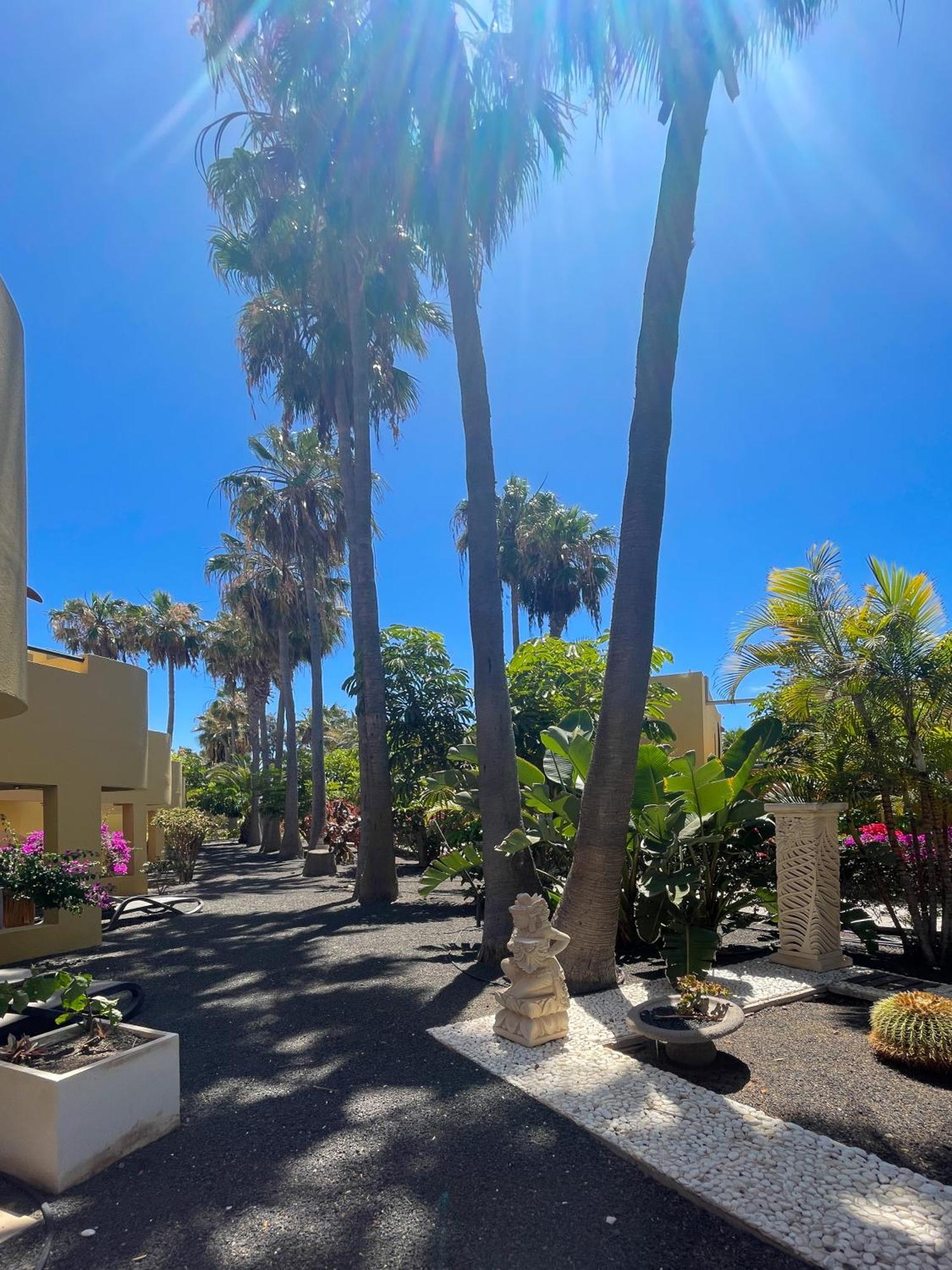 Apartament B-Rent Atlantic Garden 181 Corralejo Zewnętrze zdjęcie