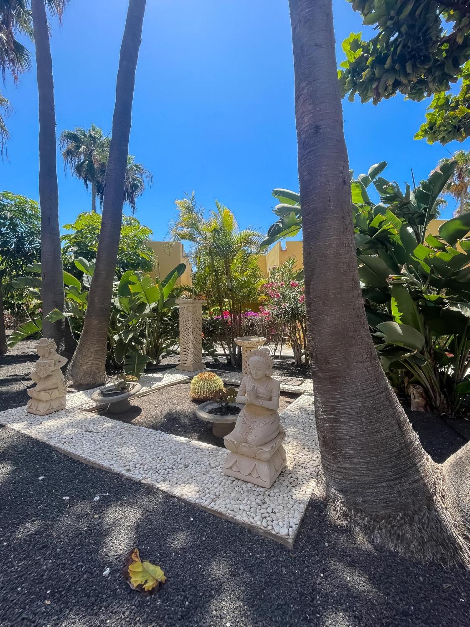 Apartament B-Rent Atlantic Garden 181 Corralejo Zewnętrze zdjęcie